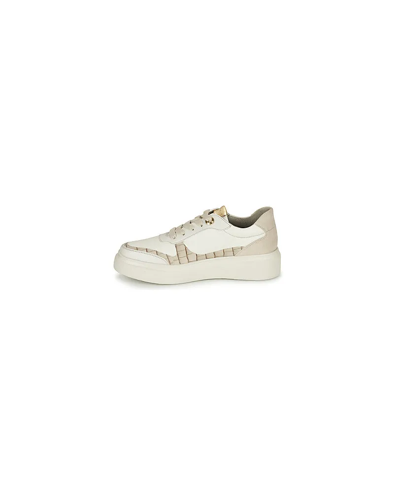 Baskets basses femmes Stonefly ALLEGRA 3 Blanc