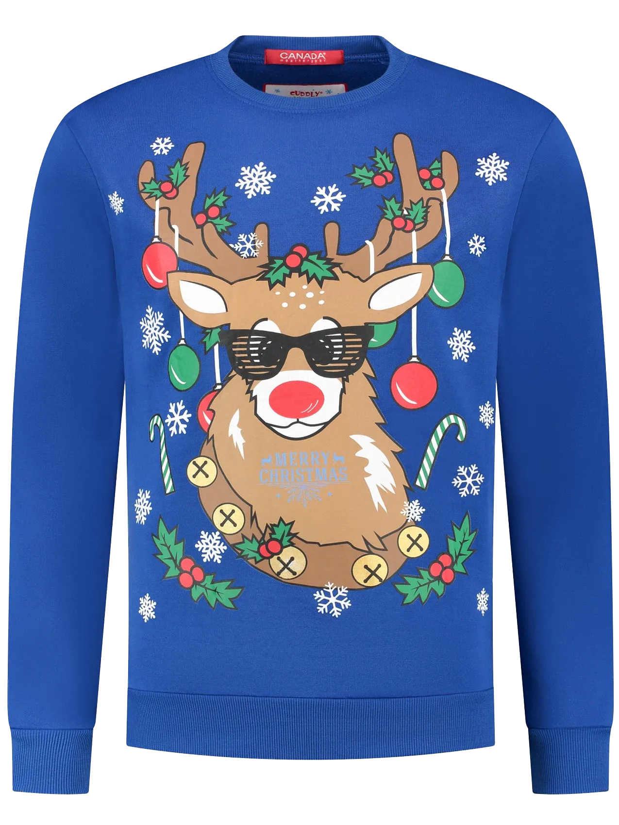 Festive Reindeer Blue Christmas Sweater