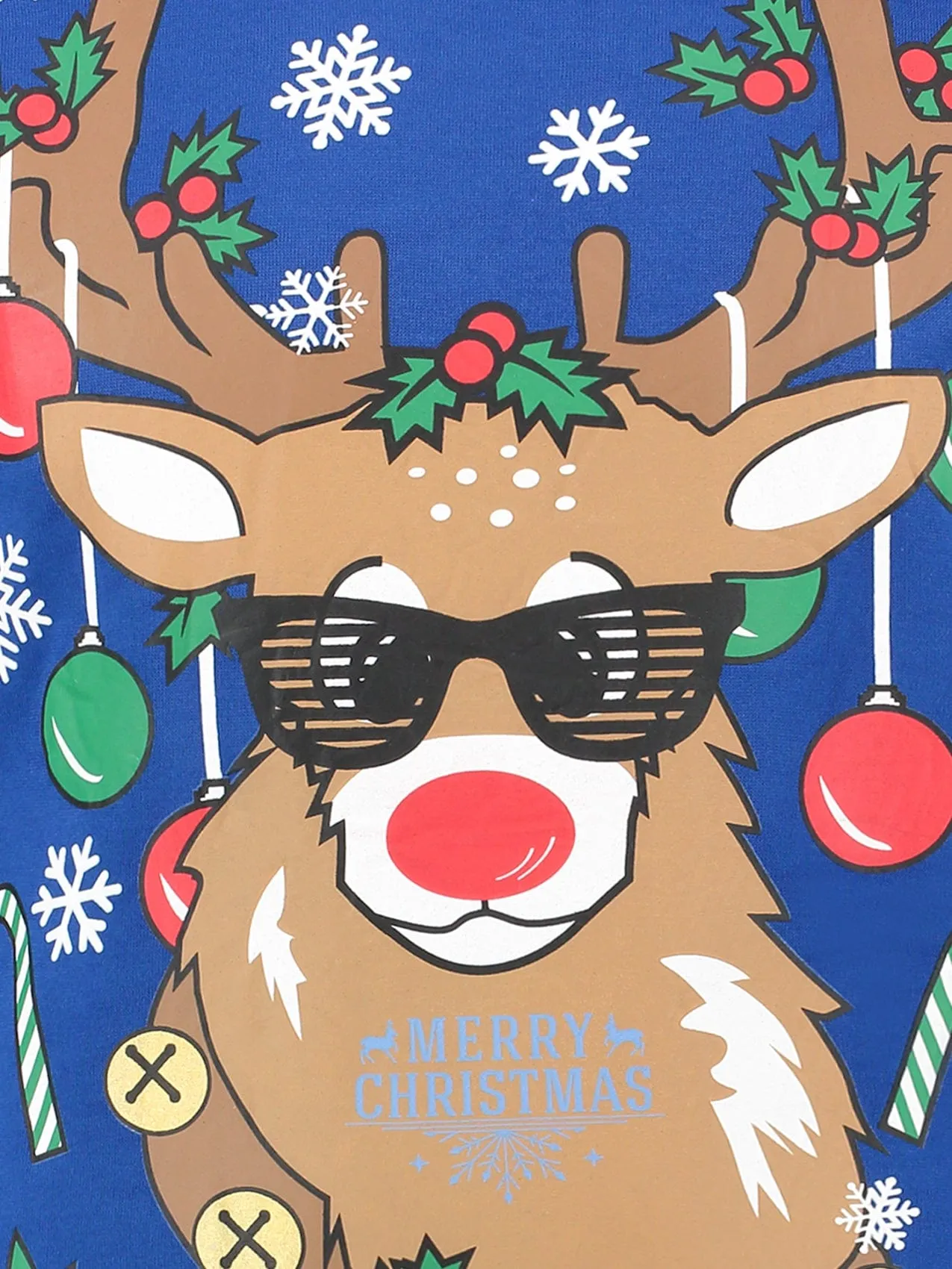 Festive Reindeer Blue Christmas Sweater