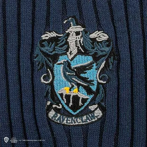 Pull de Quidditch Serdaigle - Harry Potter