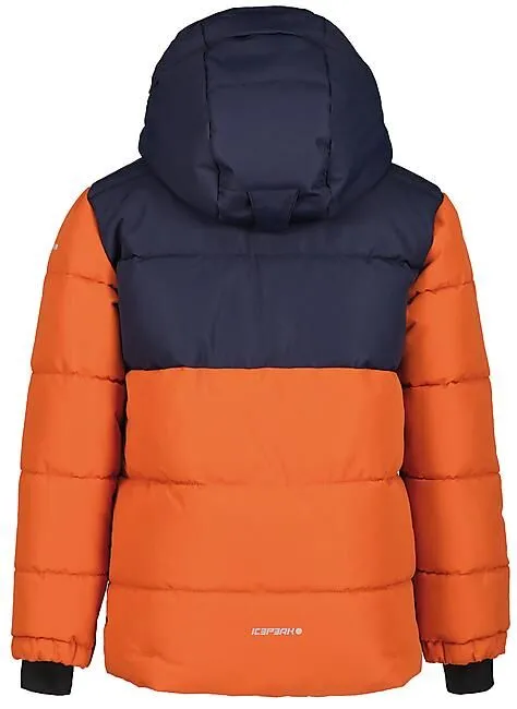 VESTE DE SKI LOUIN JR